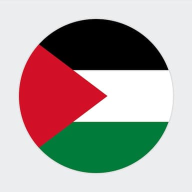 Palestine token image